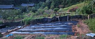 김윤오님의 기타작물 · 영농일지 작성글 사진