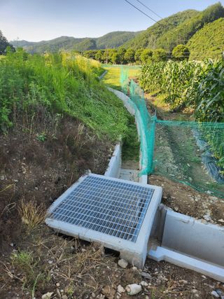 김용제 님의 기타작물 · 영농일지 작성글 사진