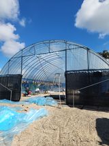 팜모닝 기타작물·영농일지 게시글 이미지