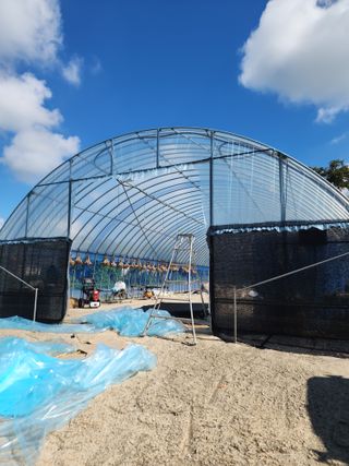 박현준 님의 기타작물 · 영농일지 작성글 사진