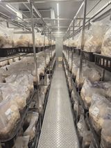 팜모닝 기타작물·영농일지 게시글 이미지