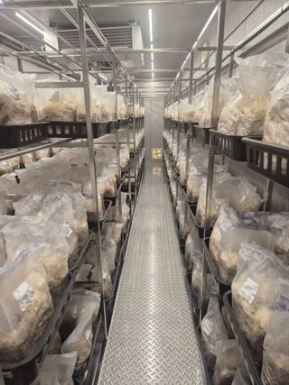 호미자루님의 기타작물 · 영농일지 작성글 사진