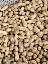 팜모닝 기타작물·영농일지 게시글 이미지