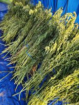 팜모닝 기타작물·영농일지 게시글 이미지