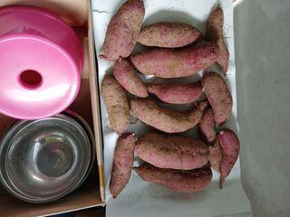 법당골길 우대영님의 기타작물 · 영농일지 작성글 사진