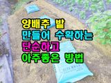 팜모닝 들깨·영농일지 게시글 이미지