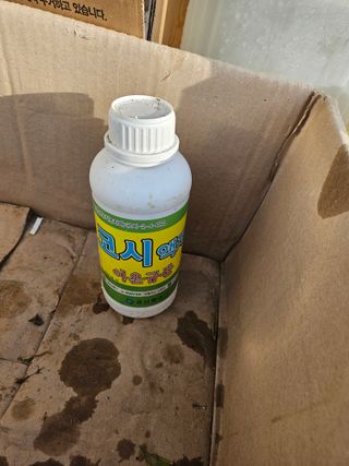 하이론님의 벼 · 영농일지 작성글 사진