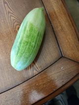 팜모닝 기타작물·영농일지 게시글 이미지