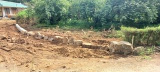 홍운기님의 기타작물 · 영농일지 작성글 사진