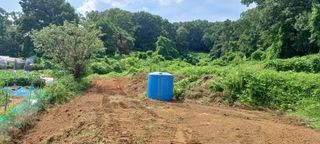 홍운기님의 기타작물 · 영농일지 작성글 사진