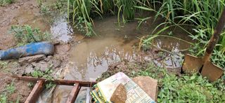 이복길님의 벼 · 영농일지 작성글 사진