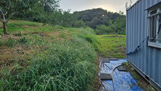 장정규님의 복숭아 · 영농일지 작성글 사진