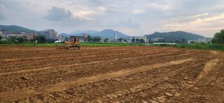 조성현님의 기타작물 · 영농일지 작성글 사진