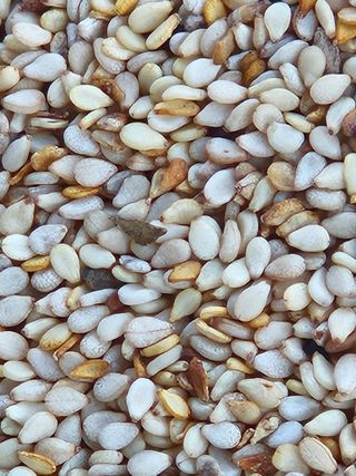 김해열님의 기타작물 · 영농일지 작성글 사진