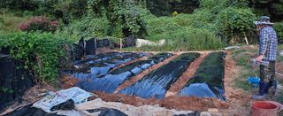 김윤오님의 기타작물 · 영농일지 작성글 사진