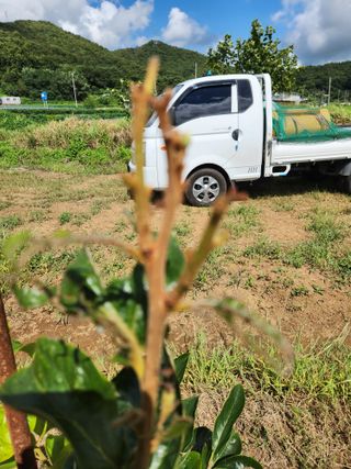 박진한님의 기타작물 · 영농일지 작성글 사진