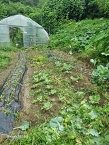 팜모닝 기타작물·영농일지 게시글 이미지