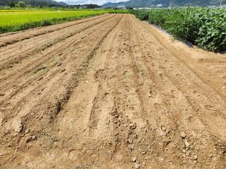 박진한님의 기타작물 · 영농일지 작성글 사진