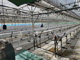 일산딸기사랑님의 딸기 · 영농일지 작성글 사진