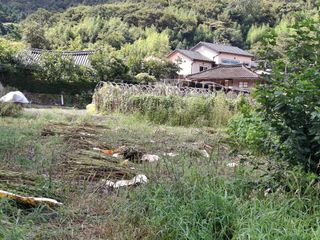 고추총각님의 벼 · 영농일지 작성글 사진