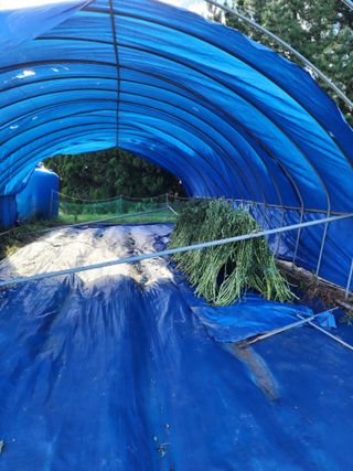 심순보님의 기타작물 · 영농일지 작성글 사진