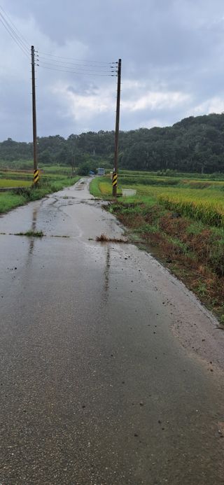 이복길님의 벼 · 영농일지 작성글 사진