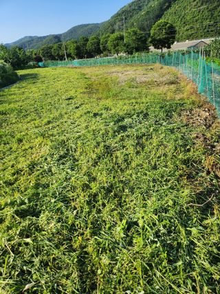 김용제 님의 기타작물 · 영농일지 작성글 사진