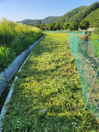 김용제 님의 기타작물 · 영농일지 작성글 사진