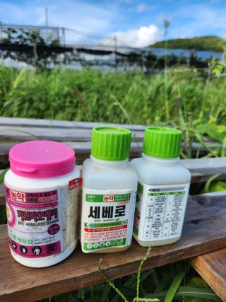 박진한님의 기타작물 · 영농일지 작성글 사진