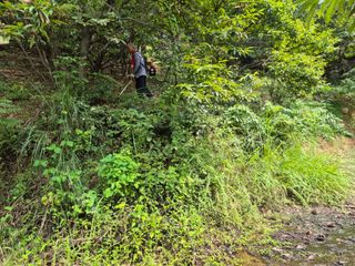 팜모닝회원류한배님의 기타작물 · 영농일지 작성글 사진