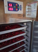 팜모닝 기타작물·영농일지 게시글 이미지