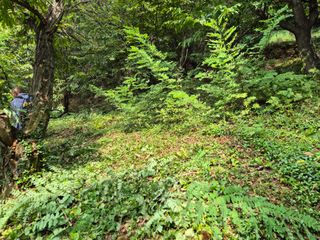 팜모닝회원류한배님의 기타작물 · 영농일지 작성글 사진