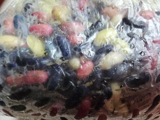 이미옥님의 벼 · 영농일지 작성글 사진