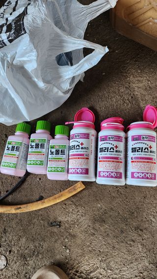 김종포님의 감 · 영농일지 작성글 사진