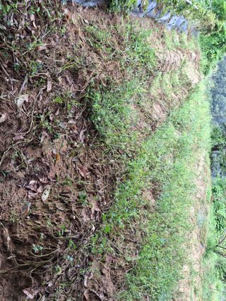 형남영님의 기타작물 · 영농일지 작성글 사진