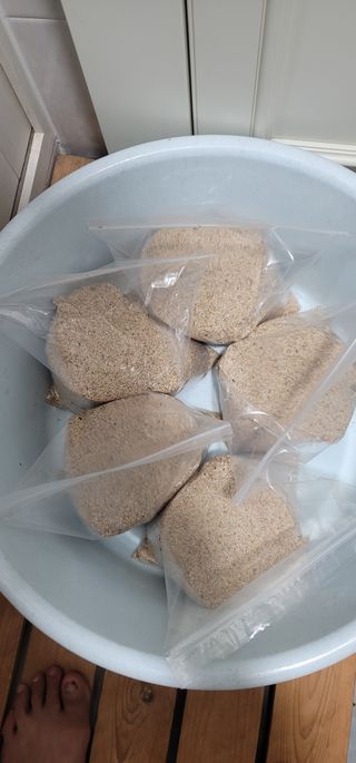 신영식님의 기타작물 · 영농일지 작성글 사진