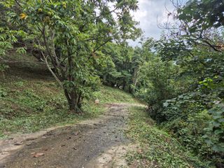 팜모닝회원류한배님의 기타작물 · 영농일지 작성글 사진