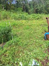 팜모닝 기타작물·영농일지 게시글 이미지