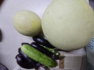 이미옥님의 벼 · 영농일지 작성글 사진