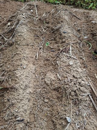 형남영님의 기타작물 · 영농일지 작성글 사진