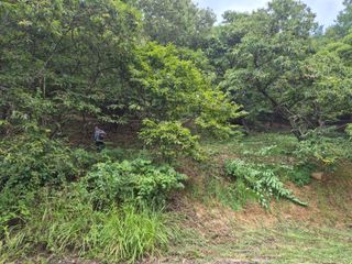 팜모닝회원류한배님의 기타작물 · 영농일지 작성글 사진