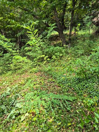 팜모닝회원류한배님의 기타작물 · 영농일지 작성글 사진