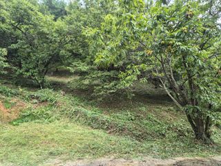 팜모닝회원류한배님의 기타작물 · 영농일지 작성글 사진