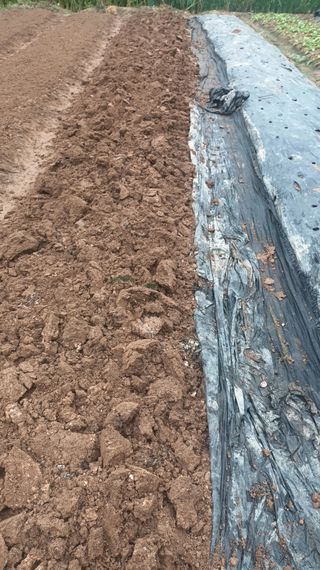 hoonkoo님의 기타작물 · 영농일지 작성글 사진