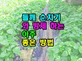 팜모닝 들깨·영농일지 게시글 이미지