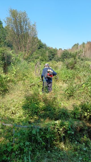이순기님의 두릅 · 영농일지 작성글 사진