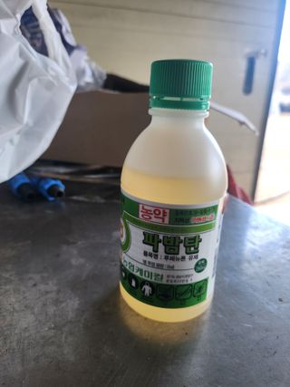 배종규님의 기타작물 · 영농일지 작성글 사진