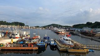 이우섭님의 고추 · 영농일지 작성글 사진