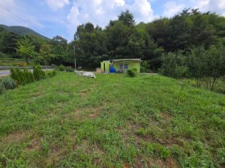 강호지인님의 파 · 영농일지 작성글 사진