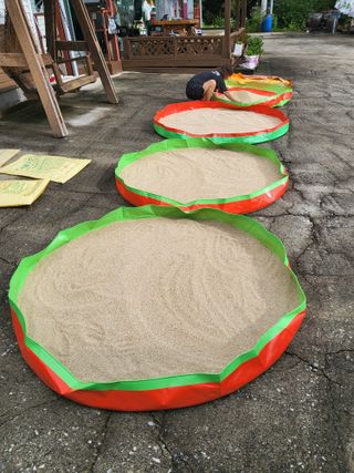 이상욱님의 참깨 · 영농일지 작성글 사진